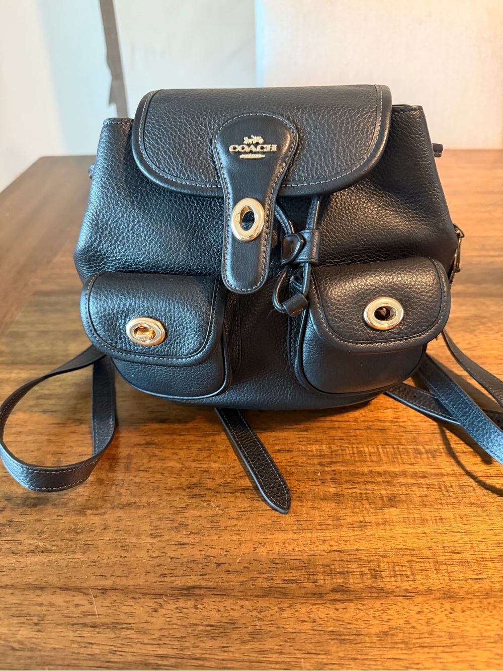 Coach Black Pebbled Leather Mini Backpack with Gold-Tone Accents